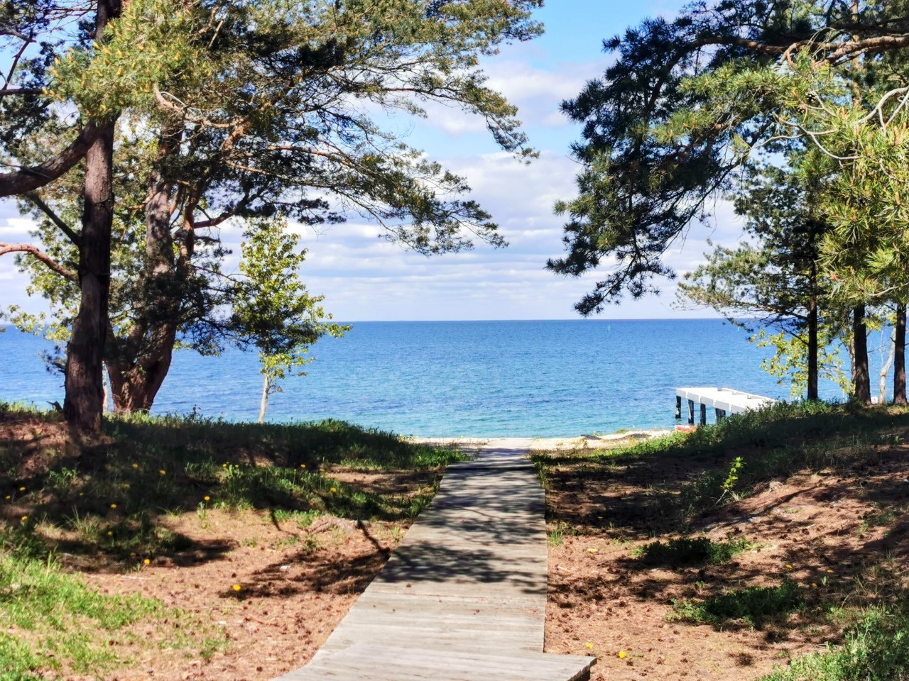 Hero background image